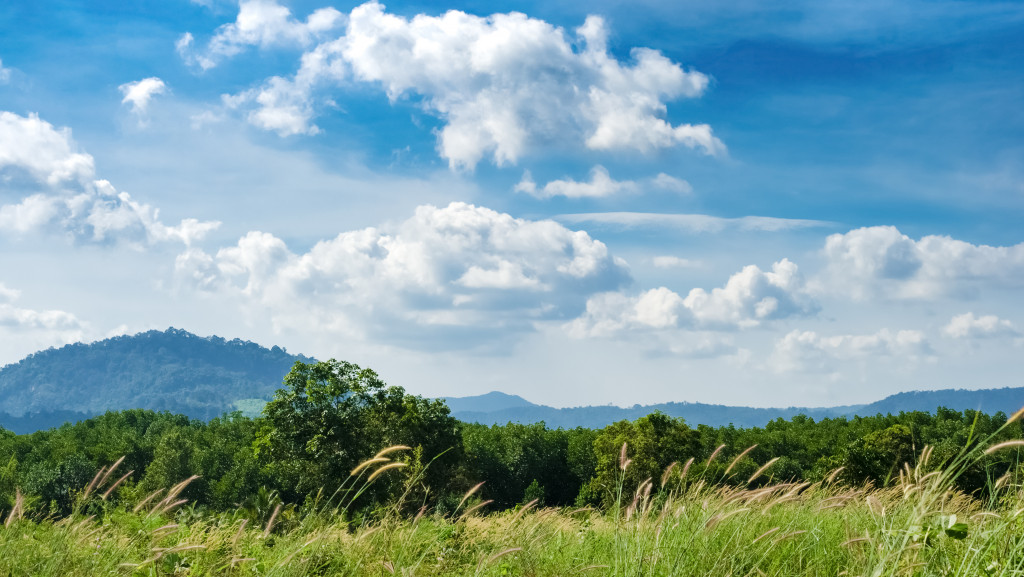 clouds over a green field