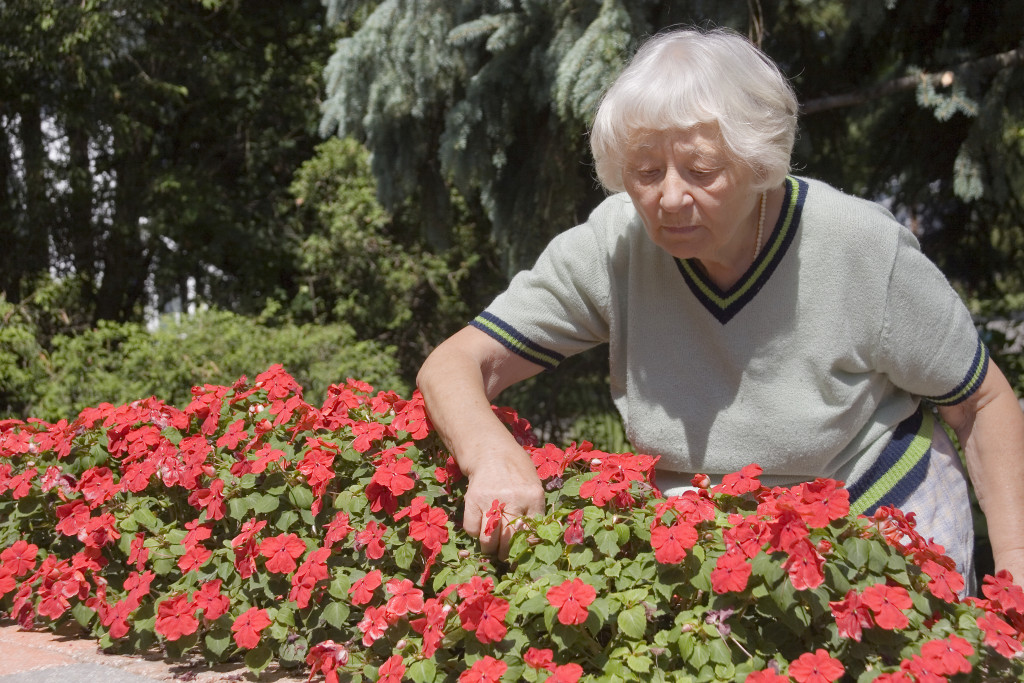 an old woman gardening