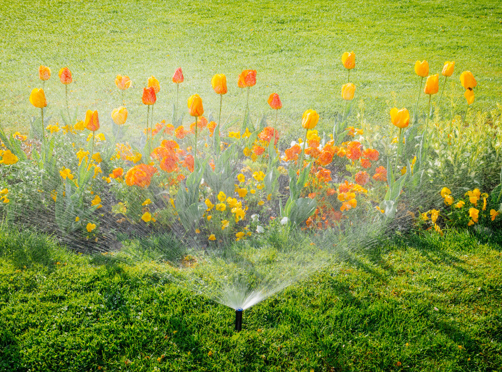 Water spraying on flowers in a day light