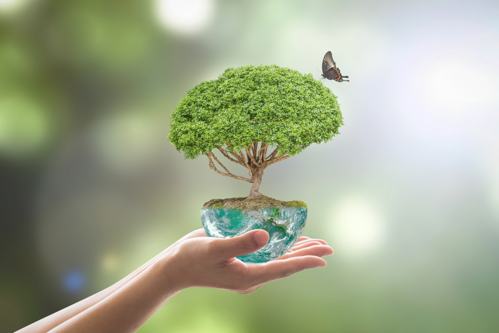 Planting tree in green soil globe on female human hands with a butterfly on blurred natural bokeh background of greenery