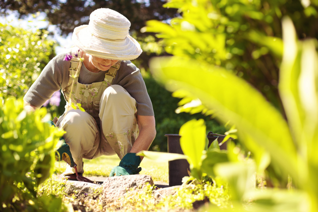 A homeowner performing gardening tasks