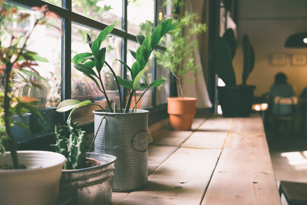 vintage colored picture of potted plants by the window