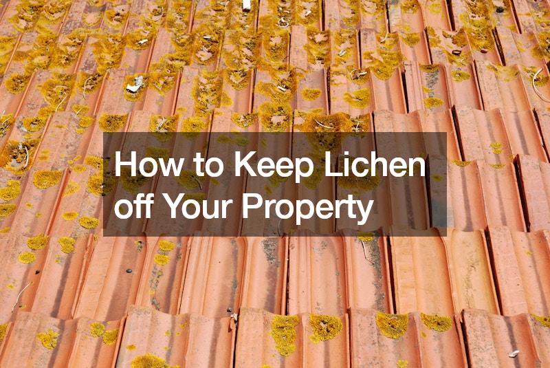 How to Keep Lichen off Your Property