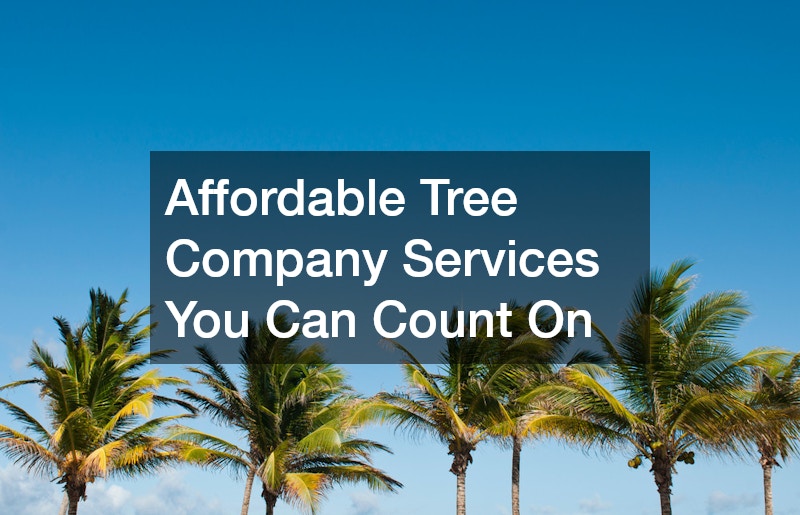 Affordable Tree Company Services You Can Count On