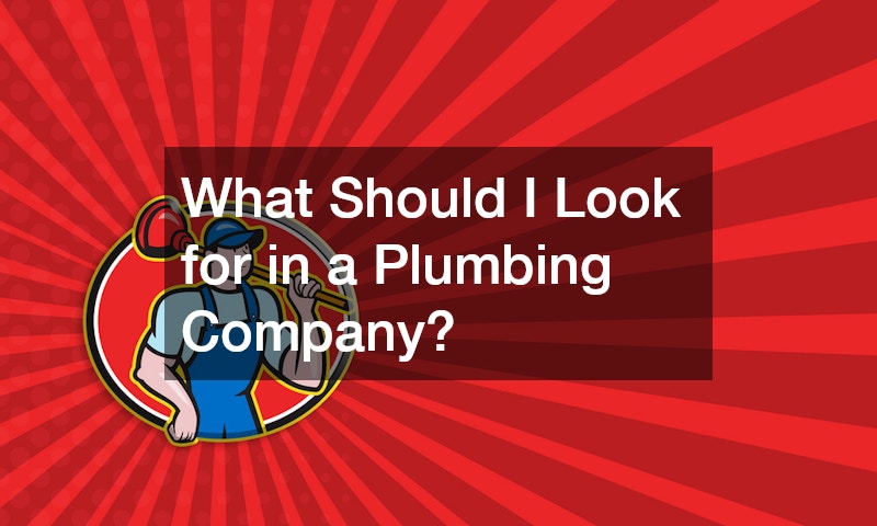 What Should I Look for in a Plumbing Company?